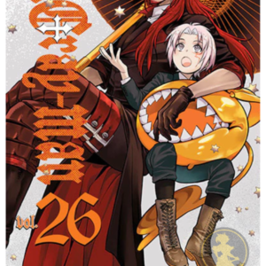 D Gray Man 26