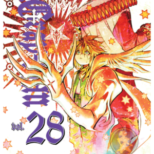 D Gray Man 28