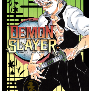 Demon Slayer 17