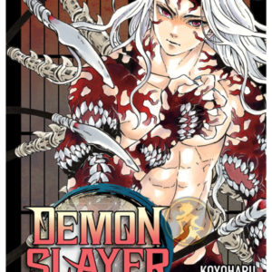 Demon Slayer 22