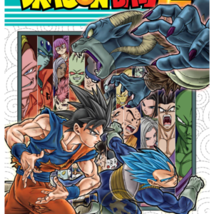 Dragon Ball Super 13