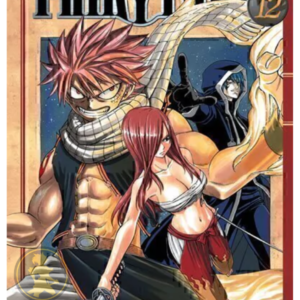 Fairy Tail 12
