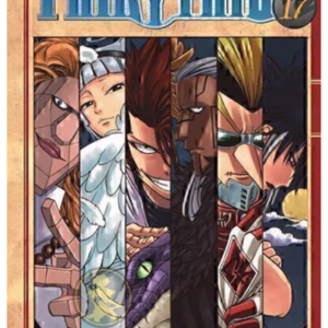 Fairy Tail 17