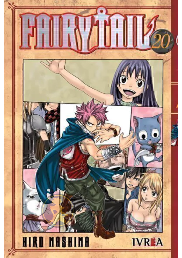 Fairy Tail 20