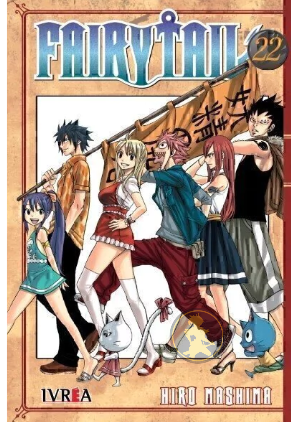 Fairy Tail 22