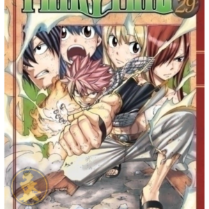 Fairy Tail 29