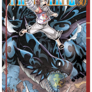 Fairy Tail 30