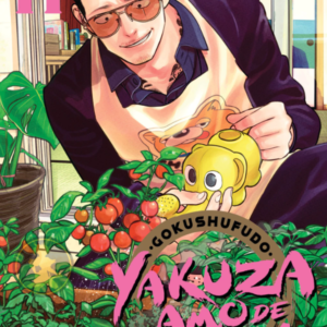 Gokushufudo: Yazuka amo de casa 11