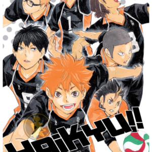 Haikyu!! 12