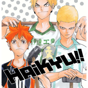 Haikyu!! 15