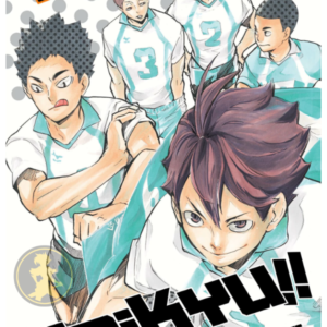 Haikyu!! 17