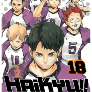 Haikyu!! 18