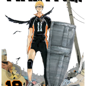 Haikyu!! 19
