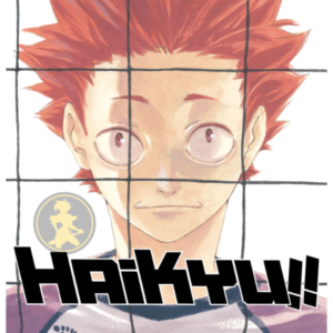 Haikyu!! 20