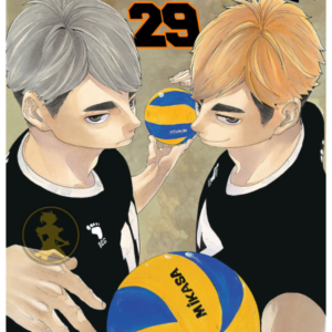 Haikyu!! 29