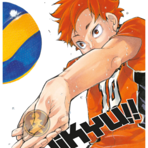 Haikyu!! 33