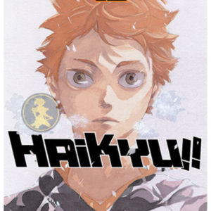 Haikyu!! 42