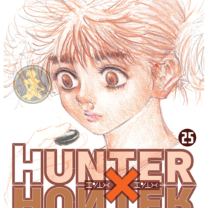 Hunter x Hunter 25