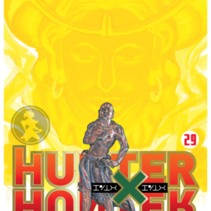 Hunter x Hunter 29