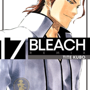 Bleach Remix 17