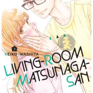 Living room Matsunaga san 03