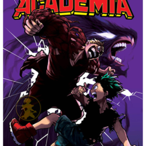 My Hero Academia 09