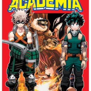 My Hero Academia 13