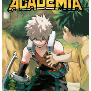 My Hero Academia 29