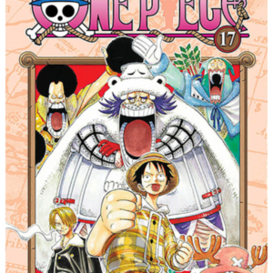 One Piece 017