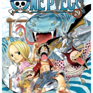 One Piece 029