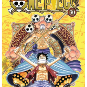One Piece 030