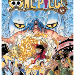 One Piece 065