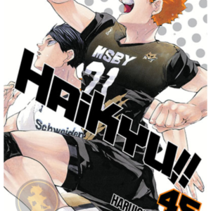 Haikyu!! 45