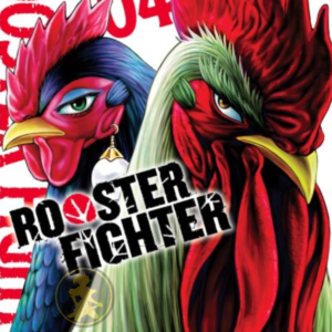 Rooster Fighter 04