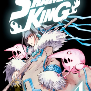 Shaman King (Edición 2 en 1) 04