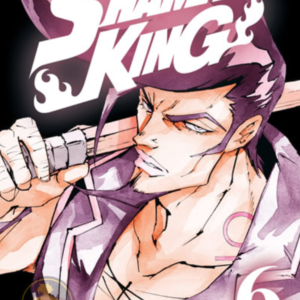 Shaman King (Edición 2 en 1) 06