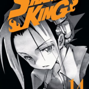 Shaman King (Edición 2 en 1) 14
