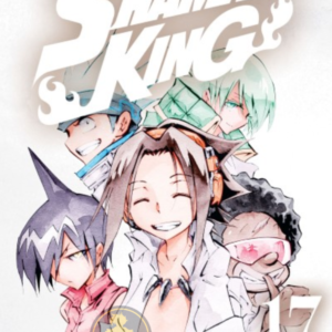 Shaman King (Edición 2 en 1) 17