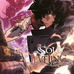 Solo Leveling 12
