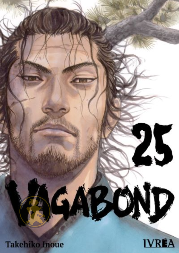 Vagabond 25
